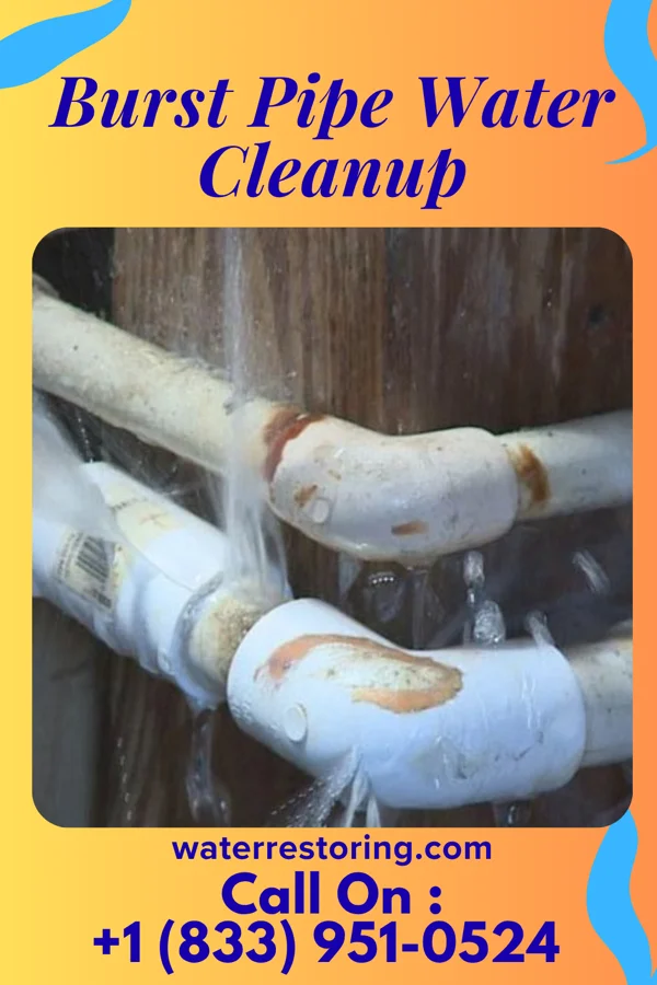 Burst Pipe Water Cleanup in Hartford City, IN