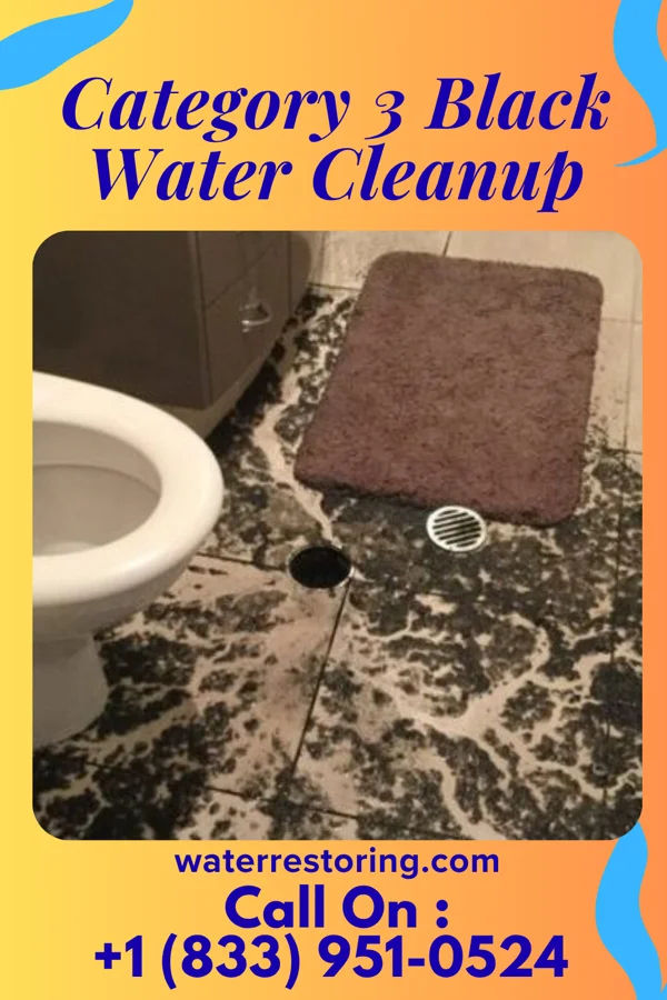 Category 3 Black Water Cleanup in Hartford City, IN