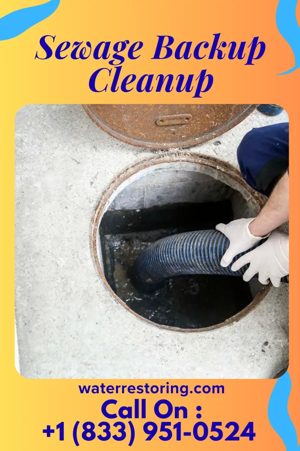 Sewage Backup Cleanup in Hartford City, IN
